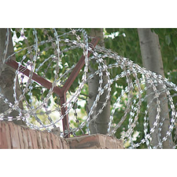 High Quality Razor Wire Fence S0131